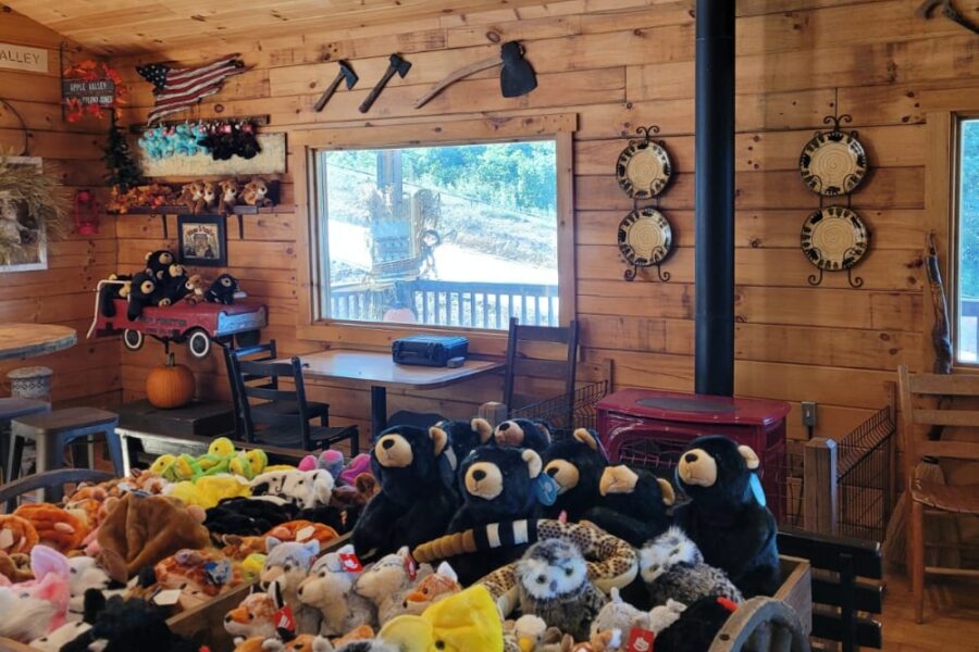 Contact Us Black Bear Snow Tubing Hendersonville, NC