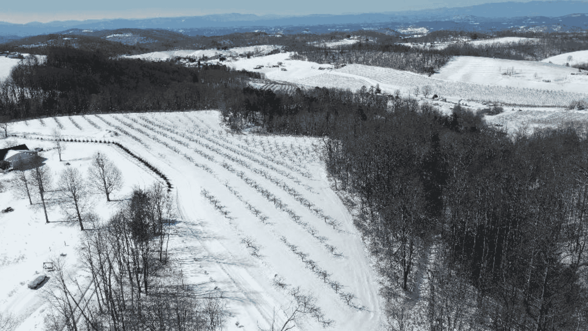 Fall Hayrides Near Asheville, NC at Black Bear
