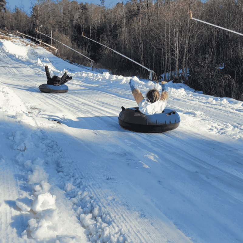 Group Activities Near Asheville, NC for All Ages