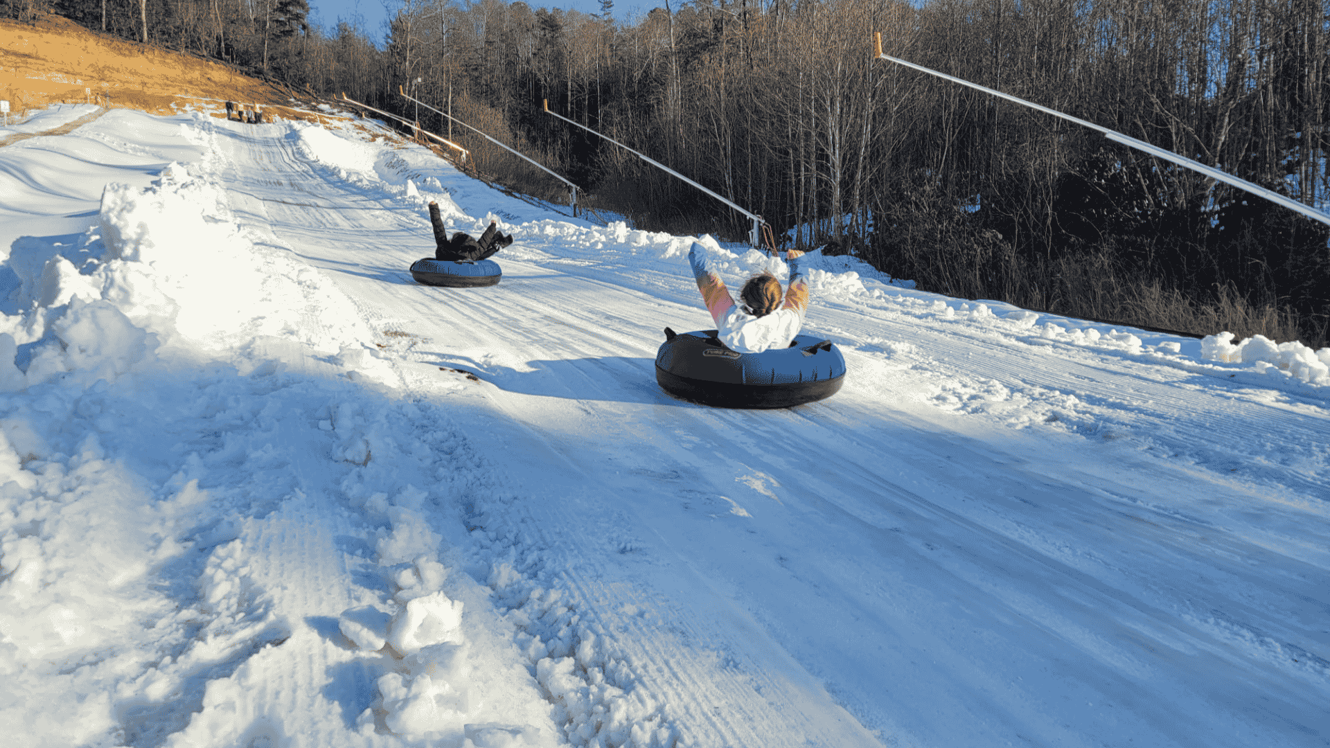 Group Activities Near Asheville, NC for All Ages