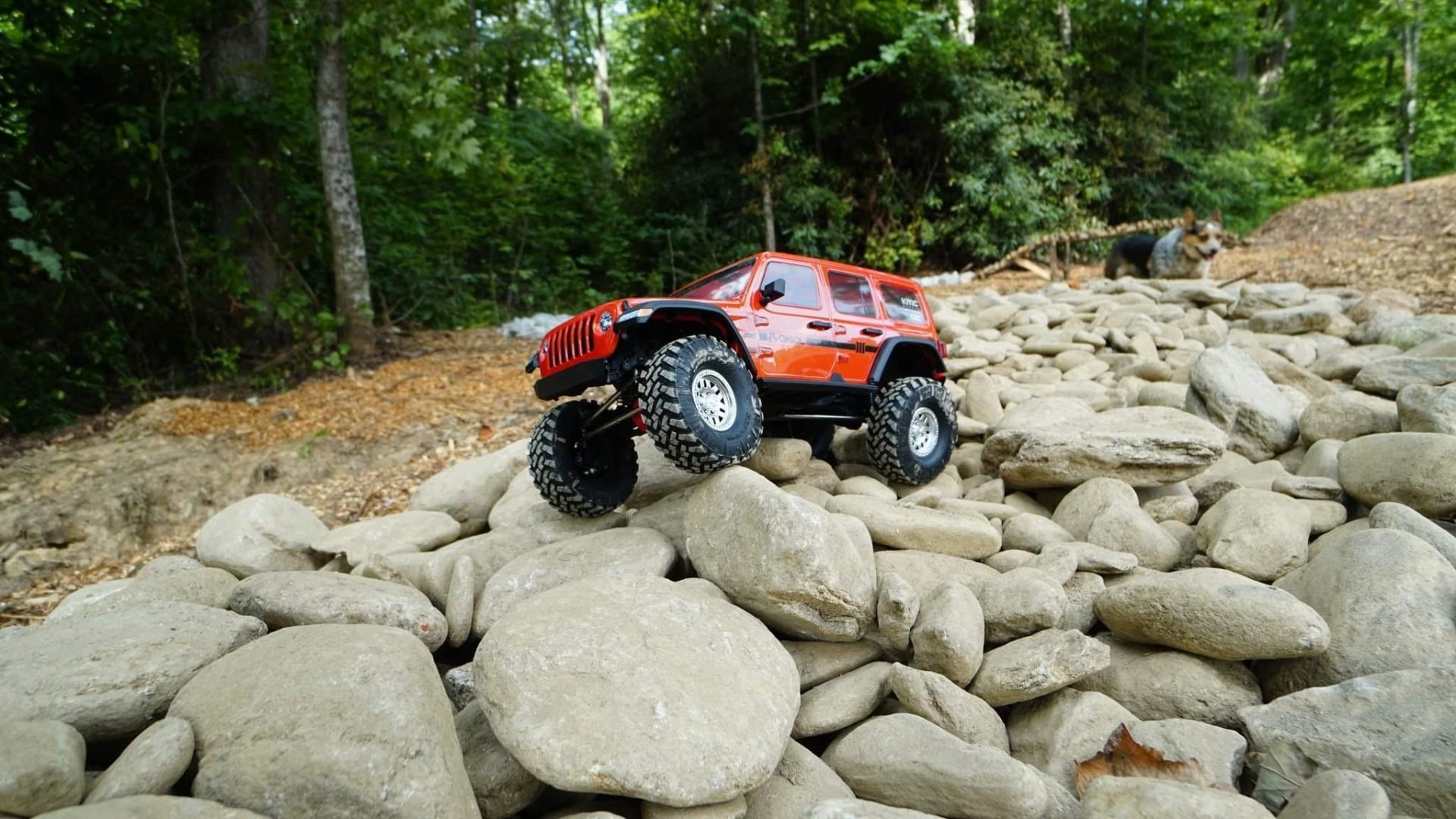 RC Crawler Course Near Me: Bear Scat Track